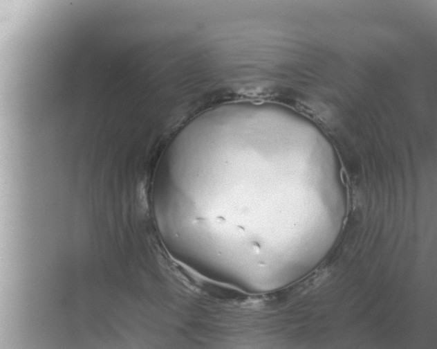 X0000069391106200605262109