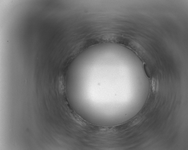 X0000069391107200605262109