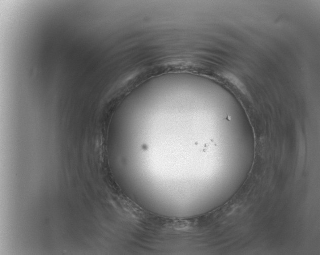 X0000069391111200605262109