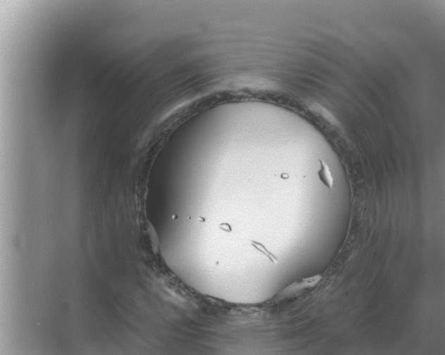 X0000069391112200605262109