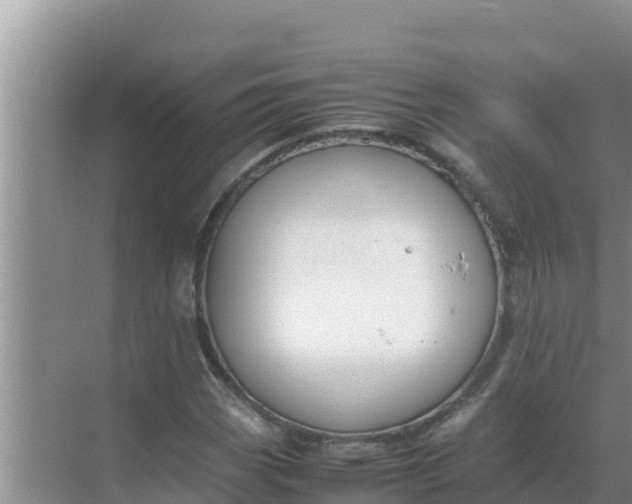 X0000069391113200605262109