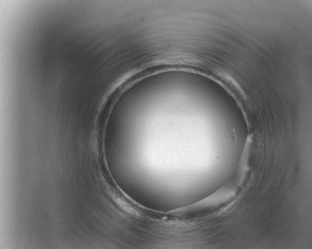 X0000069391114200605262109