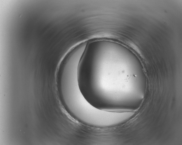 X0000069391116200605262109