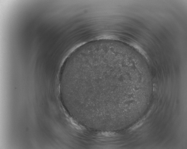 X0000069391117200605262109