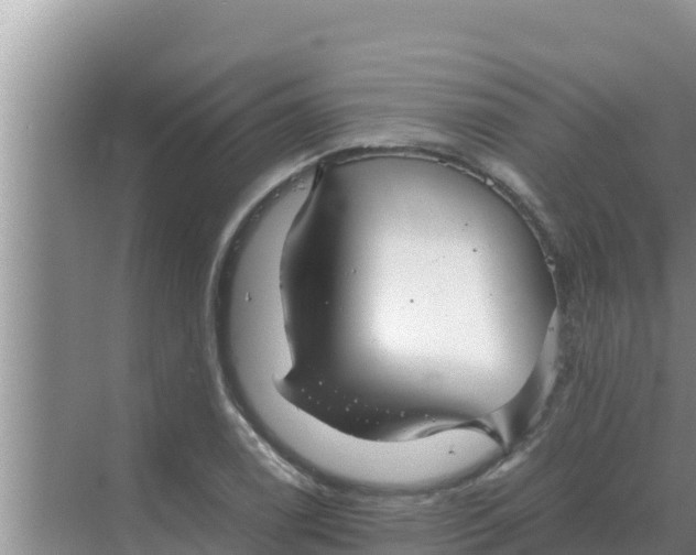 X0000069391122200605262109