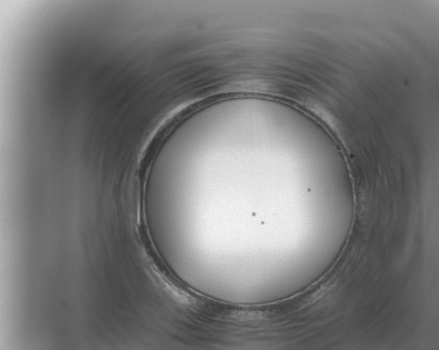 X0000069391123200605262109