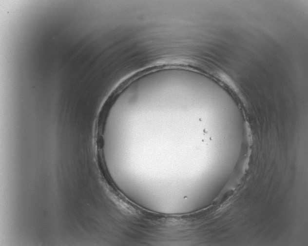 X0000069391124200605262109