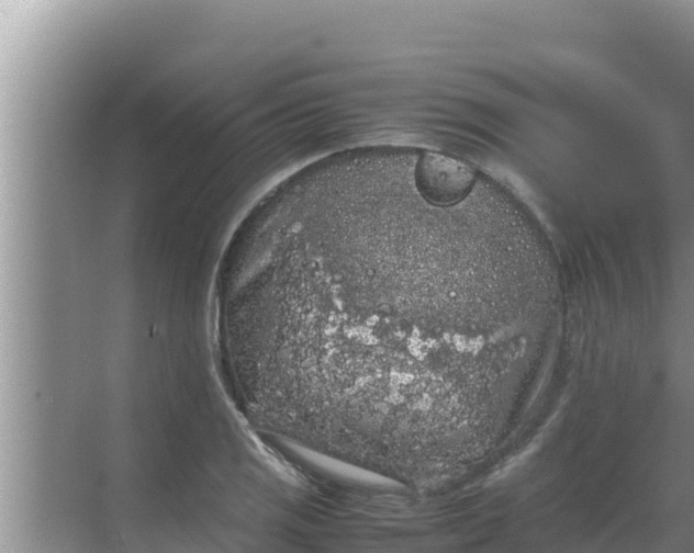 X0000069391125200605262109