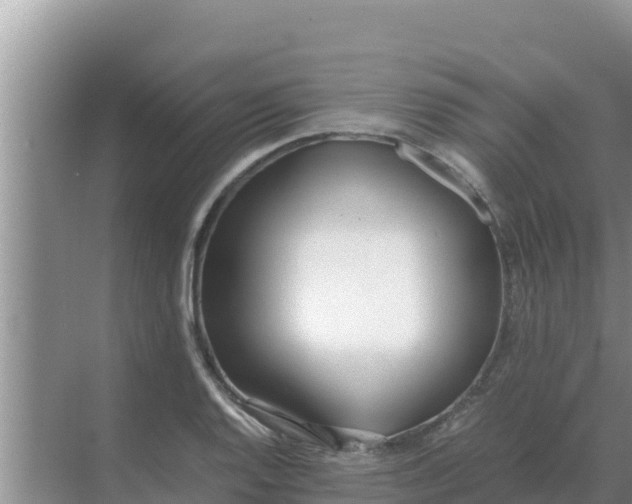 X0000069391128200605262109