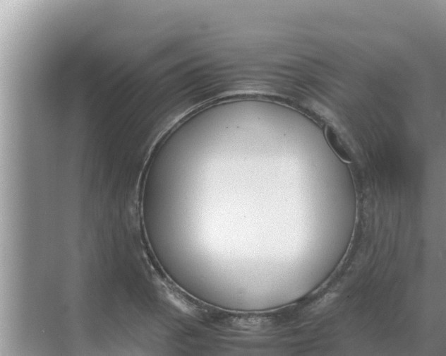 X0000069391129200605262109