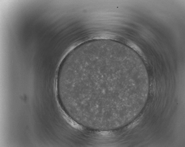 X0000069391130200605262109