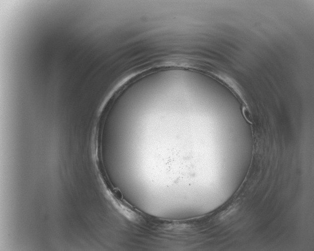 X0000069391131200605262109