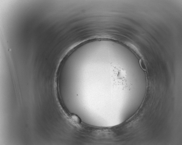 X0000069391133200605262109