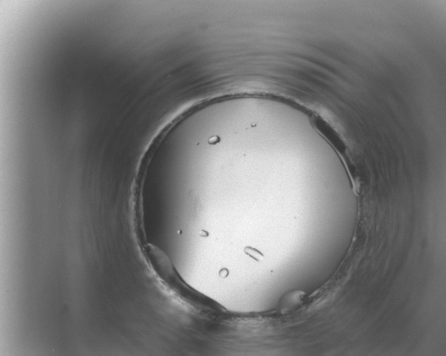 X0000069391134200605262109