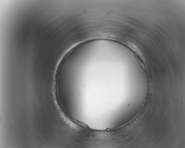 X0000069391136200605262109