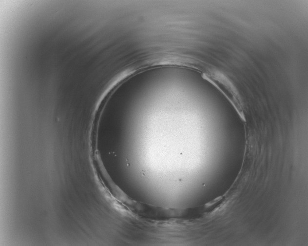 X0000069391138200605262109