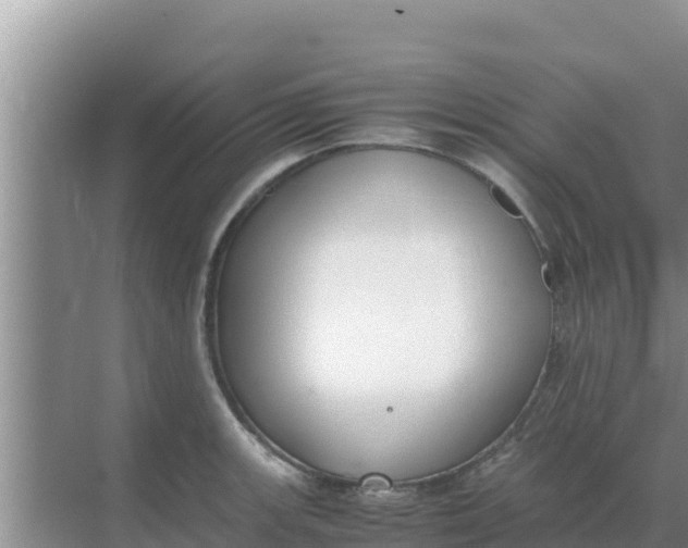 X0000069391139200605262109