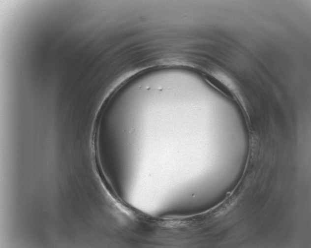 X0000069391141200605262110