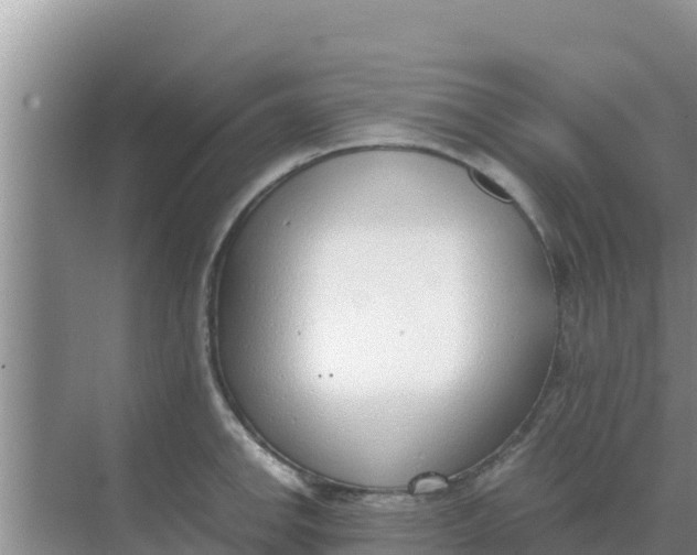 X0000069391142200605262110