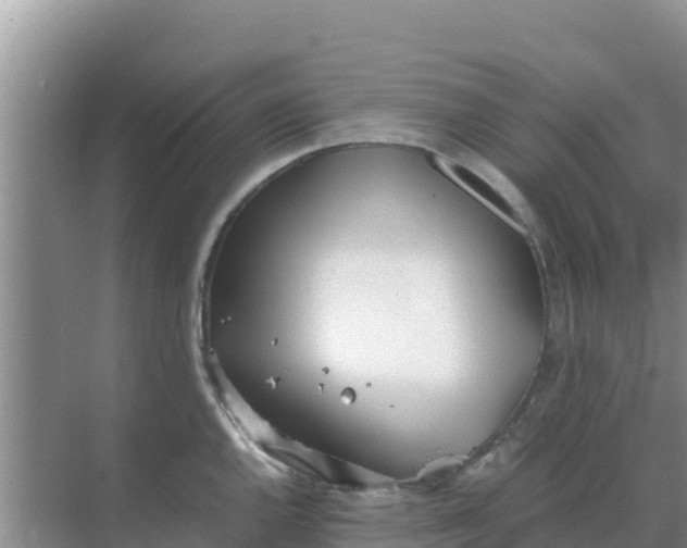 X0000069391144200605262110