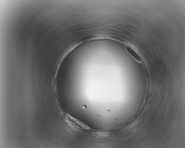 X0000069391145200605262110