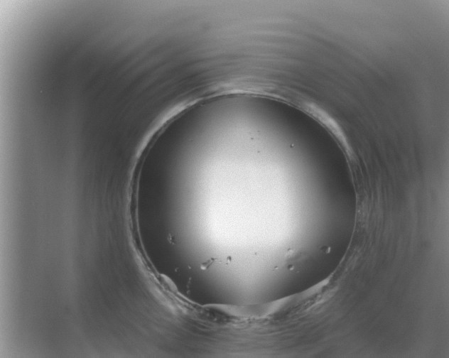 X0000069391146200605262110