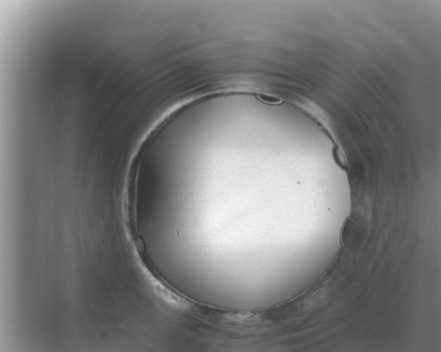 X0000069391147200605262110