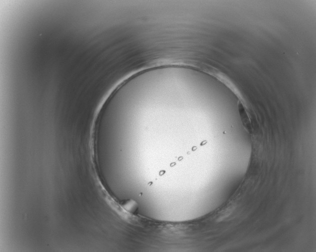 X0000069391148200605262110