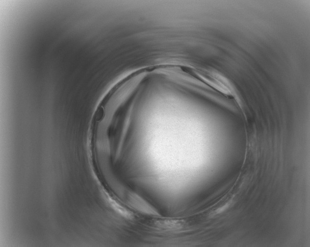 X0000069391149200605262110