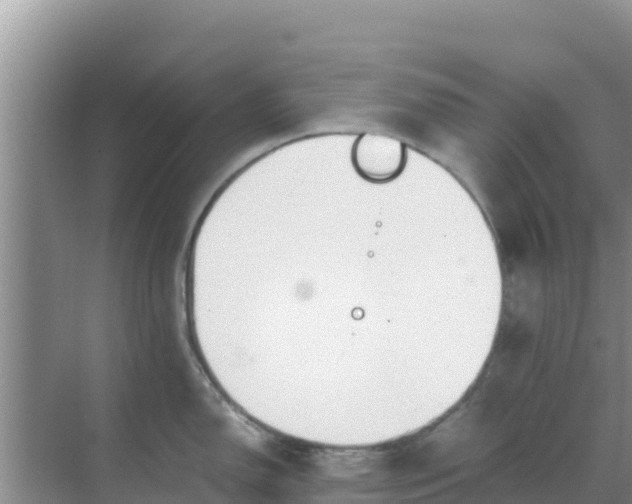 X0000069391150200605262110