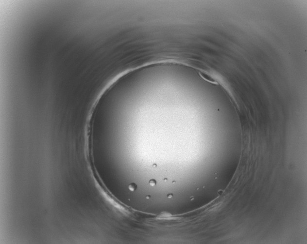 X0000069391151200605262110