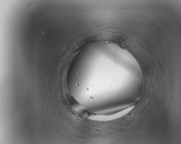 X0000069391153200605262109