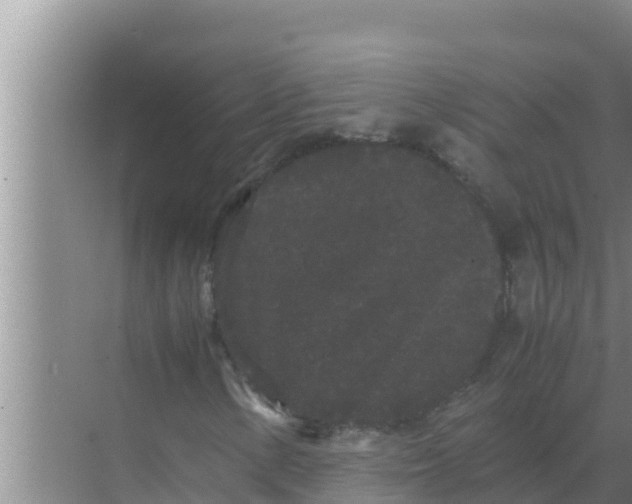 X0000069391154200605262109