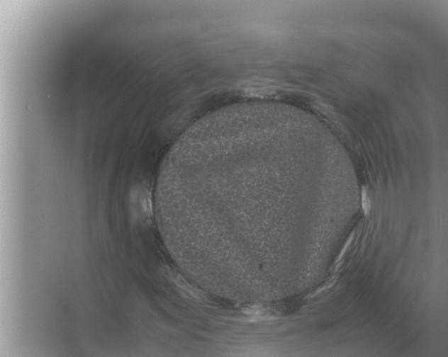 X0000069391155200605262109