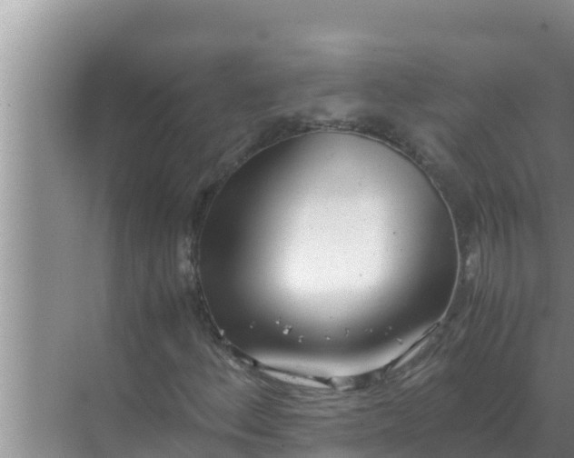 X0000069391156200605262109