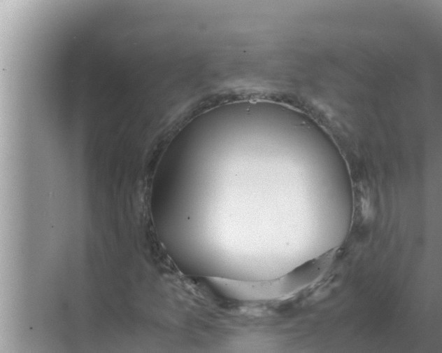 X0000069391157200605262109