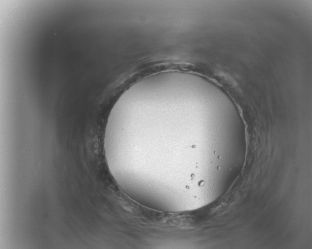 X0000069391159200605262109