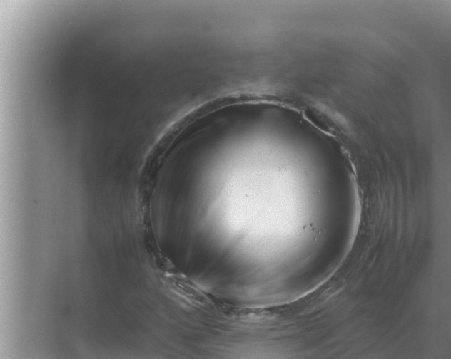 X0000069391160200605262109