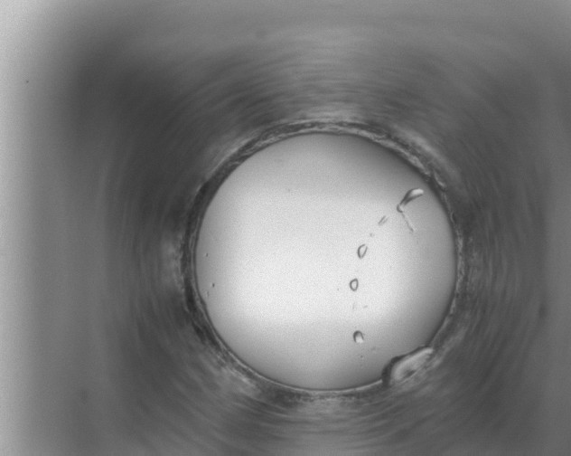 X0000069391162200605262109