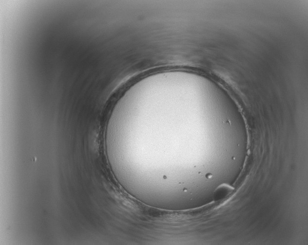 X0000069391163200605262109