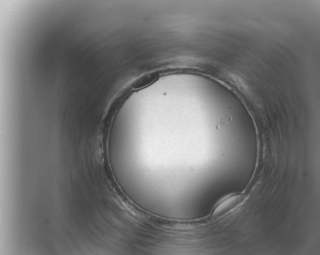 X0000069391164200605262109