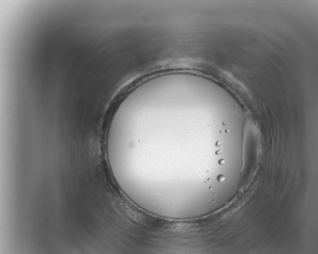 X0000069391166200605262109