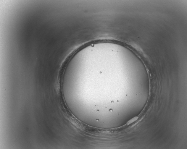 X0000069391167200605262109