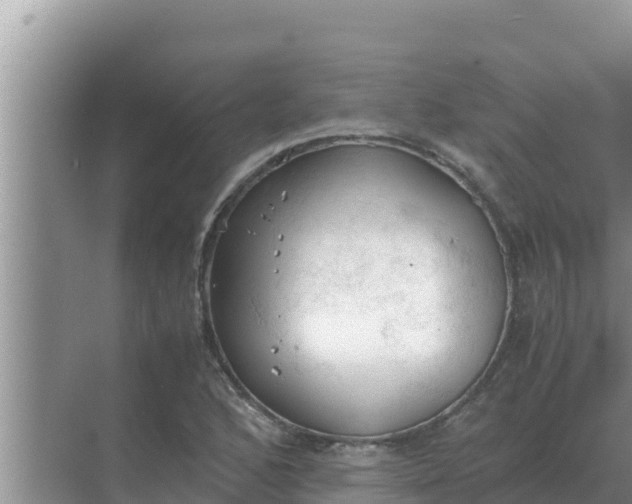 X0000069391168200605262109