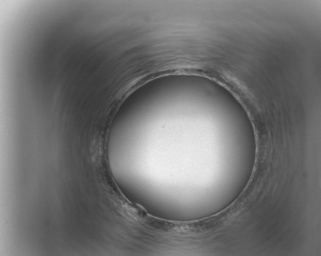 X0000069391169200605262109