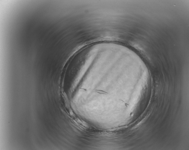 X0000069391170200605262109