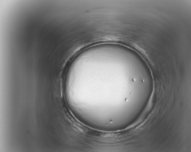 X0000069391171200605262109