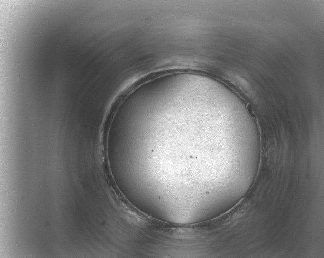 X0000069391172200605262109