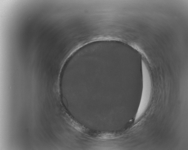 X0000069391173200605262109