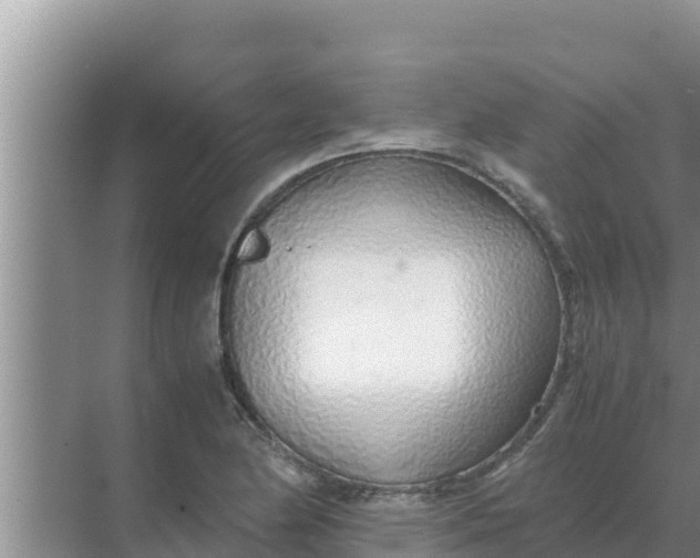 X0000069391174200605262109